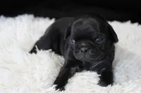 processed/85955739-728a-418c-8134-1d50edc90c76/listing/bb23c159-f49f-4346-9f85-bc3a5e87d969/f4fd322e-9c97-48be-8f4b-f084155cf2de