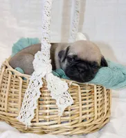 processed/85955739-728a-418c-8134-1d50edc90c76/listing/f68ddf11-1548-4c1b-bfe3-254d0bcef0fd/09ec02f3-879c-440a-b809-393ac1a60fc6