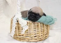 processed/85955739-728a-418c-8134-1d50edc90c76/listing/f68ddf11-1548-4c1b-bfe3-254d0bcef0fd/8ac633ed-c36d-4c92-ae53-8f57625280f7