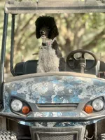 processed/85a69979-6be2-4107-bad9-ffdf8f81e005/facility/409e2e1c-0afe-463c-91dc-79622f491285