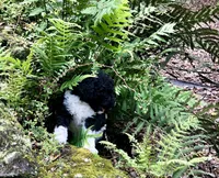 processed/85a69979-6be2-4107-bad9-ffdf8f81e005/facility/44abb286-5e38-48ed-8c8a-96acdf1ad3e0