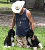 processed/85a69979-6be2-4107-bad9-ffdf8f81e005/facility/45e892b9-14d5-46e9-be72-5974187d16e9