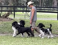 processed/85a69979-6be2-4107-bad9-ffdf8f81e005/facility/e5f0feea-c1be-4dc3-b837-81d69f549d6e