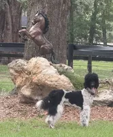 processed/85a69979-6be2-4107-bad9-ffdf8f81e005/facility/fdf74d79-4232-4c7f-9fc1-875fb2f5f896