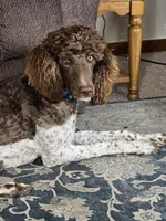 processed/85a8d998-e804-440d-a170-5c797b7e7975/facility/51414025-56cc-4f6b-a5ad-159bc6390495