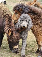 processed/85a8d998-e804-440d-a170-5c797b7e7975/facility/7e151cd5-dac1-4f8f-914b-8bd1a465273d