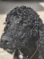 processed/85a8d998-e804-440d-a170-5c797b7e7975/facility/93126797-9f46-4c1d-9172-1c8b6b870c5c