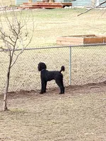 processed/85a8d998-e804-440d-a170-5c797b7e7975/facility/9fa6f2d2-bf2d-45ab-9bea-fa223eb7ea14