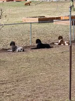 processed/85a8d998-e804-440d-a170-5c797b7e7975/facility/d188b2f2-fc5a-486c-a42b-954d15f810c8