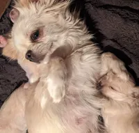 processed/85b09a9c-5768-4b28-9532-43f108342264/facility/1db71348-441e-4982-bd9d-32882df17fc7