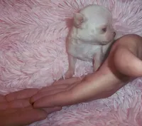 processed/85b09a9c-5768-4b28-9532-43f108342264/facility/220e8a94-43a5-46d0-b0b5-3b861e974607