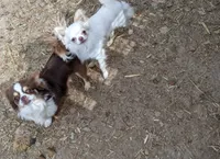 processed/85b09a9c-5768-4b28-9532-43f108342264/facility/45ea08c9-afe8-46ef-b133-f74cb12945f6