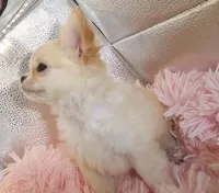 processed/85b09a9c-5768-4b28-9532-43f108342264/facility/556b3df1-d45a-4a52-9ca5-54b2d1534f2e