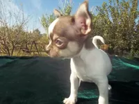 processed/85b09a9c-5768-4b28-9532-43f108342264/facility/991c3dbb-ac33-4a5b-87ff-3aad20ef39a0