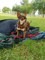 processed/85b09a9c-5768-4b28-9532-43f108342264/facility/b46fdd91-5b1f-4938-bc9f-632654e875a6