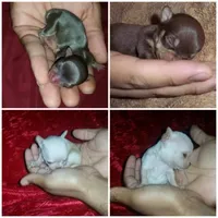 processed/85b09a9c-5768-4b28-9532-43f108342264/facility/f381ded5-b590-4fc5-85ee-39e4ef9552c7