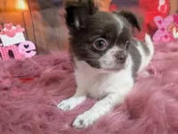 processed/85b09a9c-5768-4b28-9532-43f108342264/listing/55c2d854-3922-40f9-ac08-5dbf4a04c015/10b7c9b6-b638-49d0-ad0b-7c2fa578b923