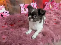 processed/85b09a9c-5768-4b28-9532-43f108342264/listing/55c2d854-3922-40f9-ac08-5dbf4a04c015/5d7bb6da-8453-4433-9198-44f161ee41d3