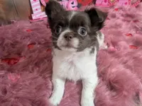 processed/85b09a9c-5768-4b28-9532-43f108342264/listing/55c2d854-3922-40f9-ac08-5dbf4a04c015/895e74c9-e5be-4a2c-912a-212829ea3254