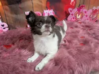 processed/85b09a9c-5768-4b28-9532-43f108342264/listing/55c2d854-3922-40f9-ac08-5dbf4a04c015/a97c0590-f4b1-4207-adba-58fa0729c06d