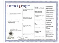 processed/85b09a9c-5768-4b28-9532-43f108342264/listing/55c2d854-3922-40f9-ac08-5dbf4a04c015/c6bcb26d-132c-419e-974b-578c5e8af552