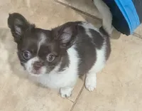 processed/85b09a9c-5768-4b28-9532-43f108342264/listing/55c2d854-3922-40f9-ac08-5dbf4a04c015/e4af9195-1ffa-434f-83cd-f7723ecc1c43