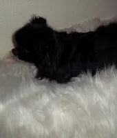 processed/85b09a9c-5768-4b28-9532-43f108342264/listing/c9abe544-6886-4b9d-a73d-e684fe220eb2/286770c8-d78b-4b34-aac6-f204e94ec896