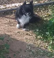 processed/85b09a9c-5768-4b28-9532-43f108342264/listing/c9abe544-6886-4b9d-a73d-e684fe220eb2/89a2fea3-0892-4343-bfba-c9c7d17763a7