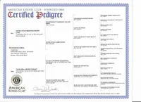 processed/85b09a9c-5768-4b28-9532-43f108342264/listing/c9abe544-6886-4b9d-a73d-e684fe220eb2/e295ec98-231e-4f56-8612-fb768410d077