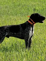 processed/85b25aad-85fe-49e9-93b2-af43ebe1849b/facility/18fd7c44-75c1-4e26-8615-6e7c55d29726