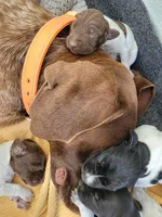 processed/85b25aad-85fe-49e9-93b2-af43ebe1849b/facility/30597aa3-54ec-4904-8172-58d5ef2ee031