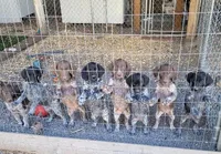 processed/85b25aad-85fe-49e9-93b2-af43ebe1849b/facility/723686dc-9eb3-472b-b109-c012a66dfed6