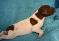 processed/85b25aad-85fe-49e9-93b2-af43ebe1849b/listing/09d040af-f2a9-42d2-b02b-76ef090420a4/3576a0ef-7d37-4321-ac8b-2bee355a33be