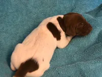 processed/85b25aad-85fe-49e9-93b2-af43ebe1849b/listing/09d040af-f2a9-42d2-b02b-76ef090420a4/6ff1c5b2-7170-4636-a609-3de9bbaedf3c