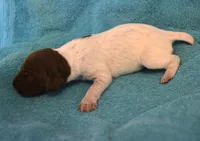 processed/85b25aad-85fe-49e9-93b2-af43ebe1849b/listing/342eeb74-4413-4978-8060-e4ab8c39ac1c/24f33f61-14c2-4048-84e7-55941d7865d5