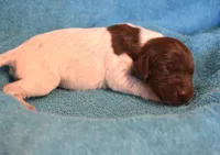 processed/85b25aad-85fe-49e9-93b2-af43ebe1849b/listing/342eeb74-4413-4978-8060-e4ab8c39ac1c/cb1b774f-3658-4750-802e-23d886c0979e