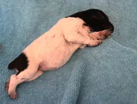 processed/85b25aad-85fe-49e9-93b2-af43ebe1849b/listing/3d5e2a77-31f9-42b5-aea5-8209add59399/17d6f07d-f221-421b-881e-cdd6a129a295