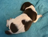 processed/85b25aad-85fe-49e9-93b2-af43ebe1849b/listing/cacefea5-a823-44a7-812b-07609be55349/08170c6b-7fe1-4ca7-8ecd-b70296ae5d78