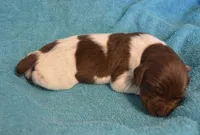 processed/85b25aad-85fe-49e9-93b2-af43ebe1849b/listing/cacefea5-a823-44a7-812b-07609be55349/c66d5fb8-6888-4fc0-9e08-b4c3469c70f1