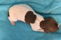 processed/85b25aad-85fe-49e9-93b2-af43ebe1849b/listing/e68048be-03c8-4ab0-a31a-c85c249863ce/3fc53253-f929-4089-bc3a-ed476a4324a6