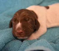 processed/85b25aad-85fe-49e9-93b2-af43ebe1849b/listing/e68048be-03c8-4ab0-a31a-c85c249863ce/8c4beb21-c8e5-4d61-bc58-68bbfa6abc9a