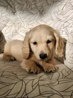 processed/85b74599-50a7-4888-a0d0-1c7ecdc2d49a/listing/48ac6044-3763-4a50-a899-9a26881378a5/32a88a6a-5c32-4c63-bc37-9057f2140203