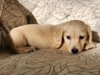 processed/85b74599-50a7-4888-a0d0-1c7ecdc2d49a/listing/48ac6044-3763-4a50-a899-9a26881378a5/71858ebc-c788-4439-b07a-a92aab803a4c