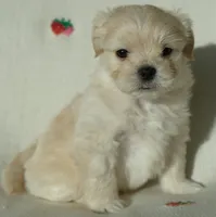 processed/85b74599-50a7-4888-a0d0-1c7ecdc2d49a/listing/74366e03-7244-417d-bca0-ad8f0c37eec9/12844db0-67fd-4354-9ed3-80425cf4d59b