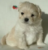 processed/85b74599-50a7-4888-a0d0-1c7ecdc2d49a/listing/74366e03-7244-417d-bca0-ad8f0c37eec9/14c12edf-98a5-4603-97ea-b3f70f70ab56