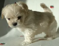 processed/85b74599-50a7-4888-a0d0-1c7ecdc2d49a/listing/74366e03-7244-417d-bca0-ad8f0c37eec9/43ea4920-559f-447d-869b-828a8b8ba68d