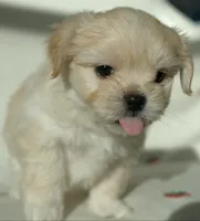 processed/85b74599-50a7-4888-a0d0-1c7ecdc2d49a/listing/74366e03-7244-417d-bca0-ad8f0c37eec9/6ba14808-35b8-431c-95fb-f5e075b43902