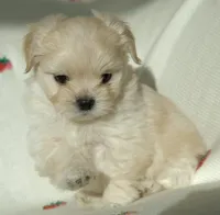 processed/85b74599-50a7-4888-a0d0-1c7ecdc2d49a/listing/74366e03-7244-417d-bca0-ad8f0c37eec9/9cfa14de-d584-42ab-8d9a-6d4a6d3108ad