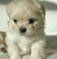 processed/85b74599-50a7-4888-a0d0-1c7ecdc2d49a/listing/74366e03-7244-417d-bca0-ad8f0c37eec9/ad7ceff4-41d0-46e9-8bb5-6605c7e9c3bd