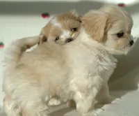 processed/85b74599-50a7-4888-a0d0-1c7ecdc2d49a/listing/74366e03-7244-417d-bca0-ad8f0c37eec9/b39b0303-0af5-4ecb-a191-ca09300defa3